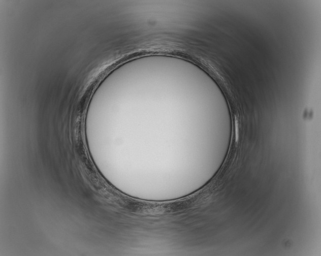 X0000111630675200907171129