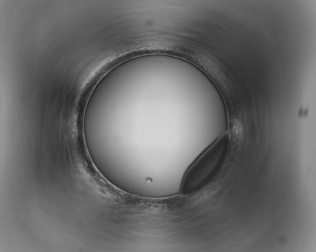 X0000111630676200907171129