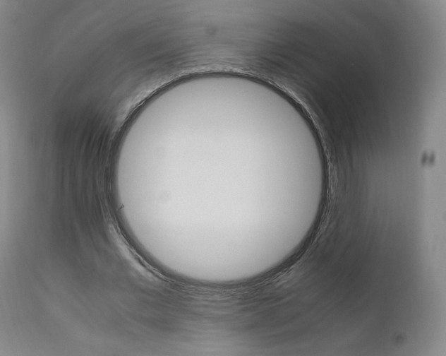 X0000111630677200907171129