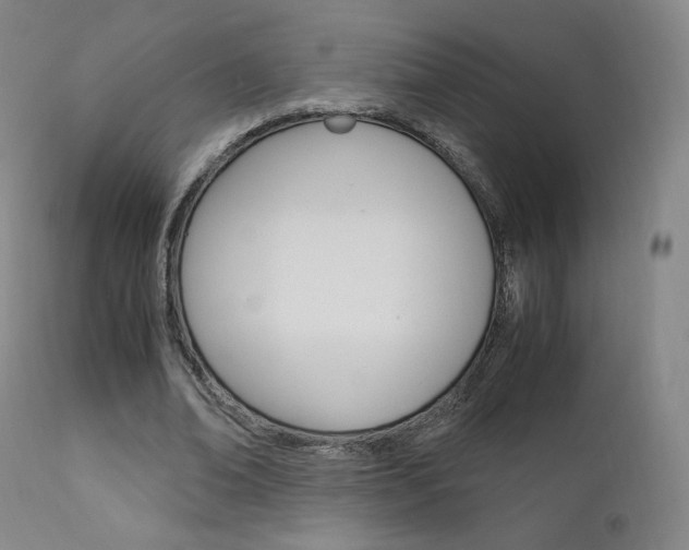 X0000111630678200907171129