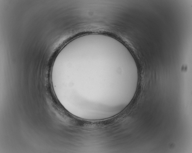 X0000111630679200907171129