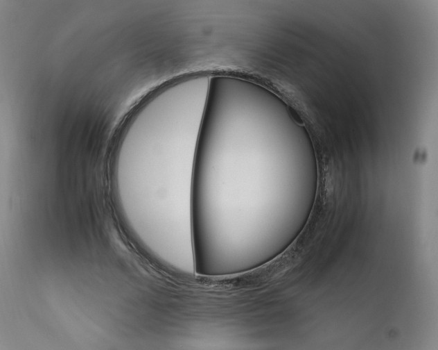 X0000111630680200907171129