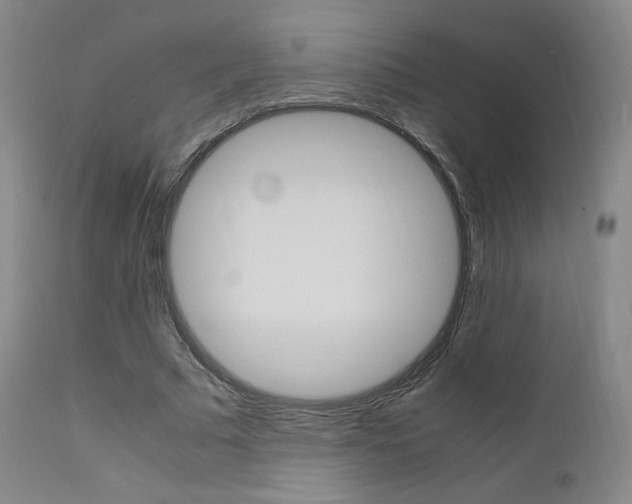 X0000111630681200907171129