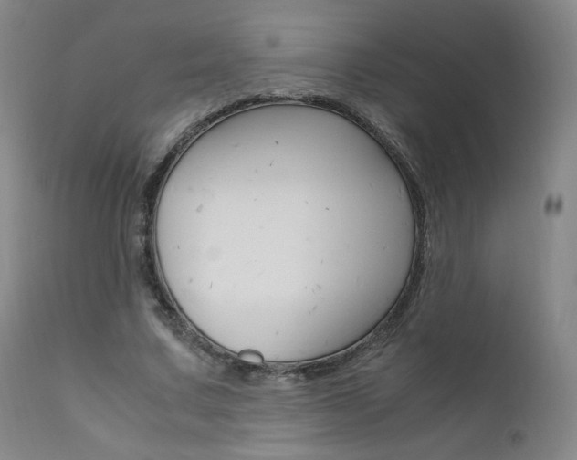 X0000111630683200907171129