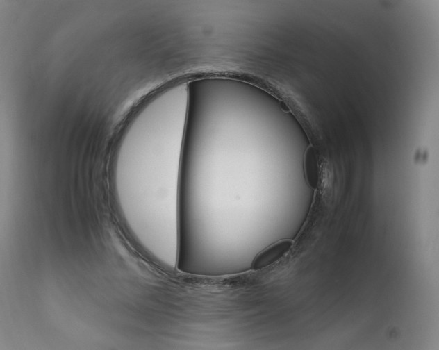 X0000111630684200907171129