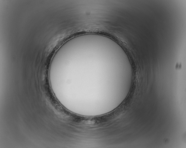 X0000111630687200907171129