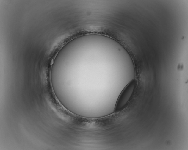 X0000111630688200907171129