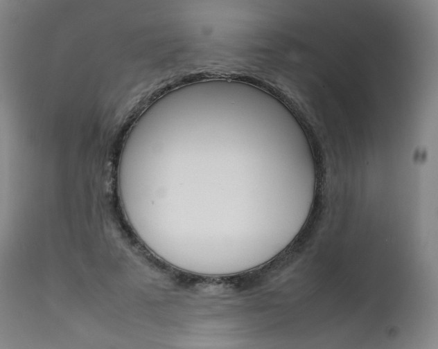 X0000111630689200907171129