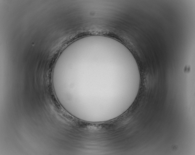 X0000111630690200907171129