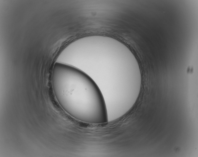 X0000111630693200907171129