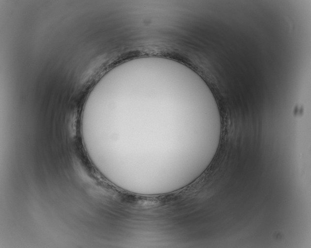 X0000111630694200907171129