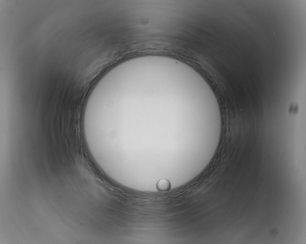 X0000111630696200907171129