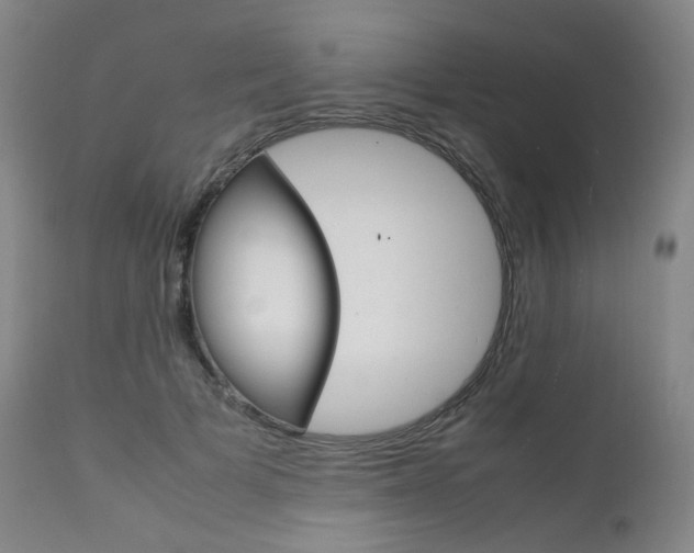 X0000111630697200907171129