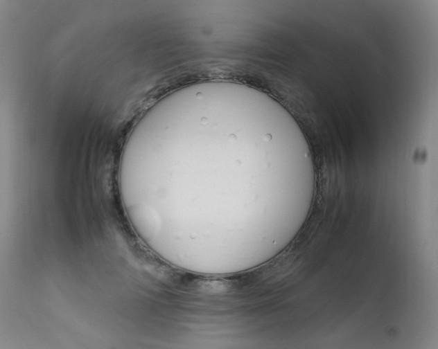 X0000111630698200907171129