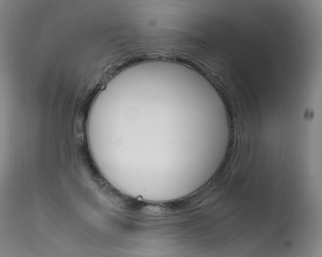 X0000111630699200907171129
