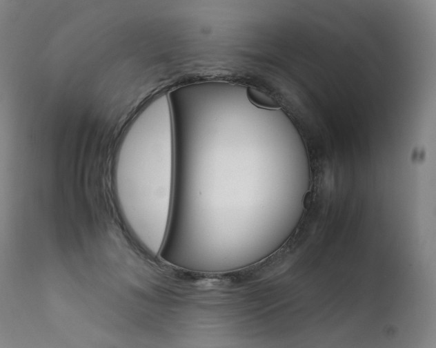 X0000111630700200907171129