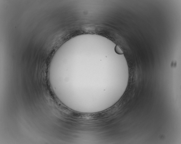 X0000111630702200907171129