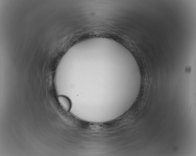 X0000111630703200907171129