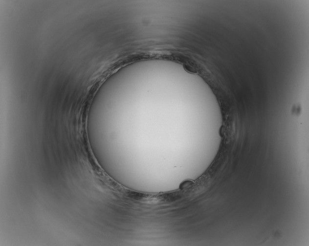 X0000111630704200907171129