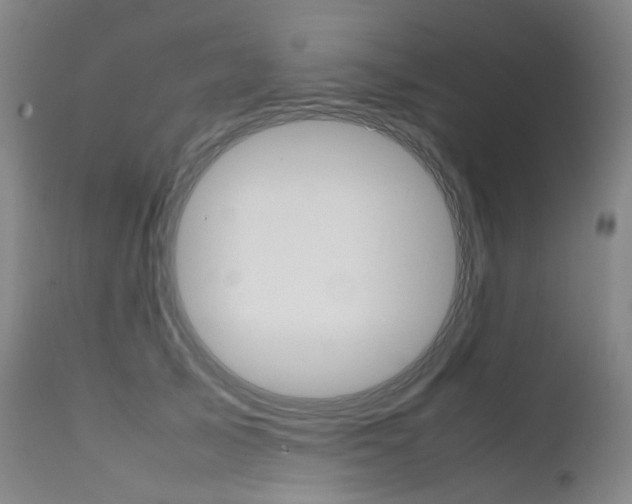 X0000111630705200907171129