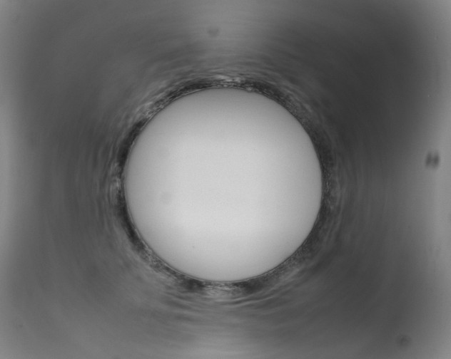 X0000111630707200907171129