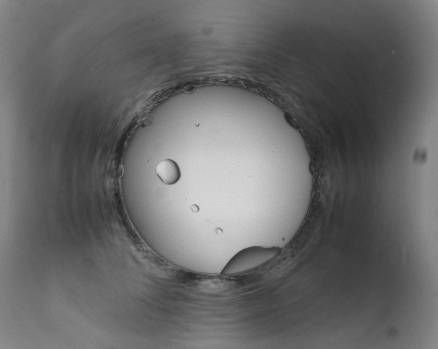 X0000111630708200907171129