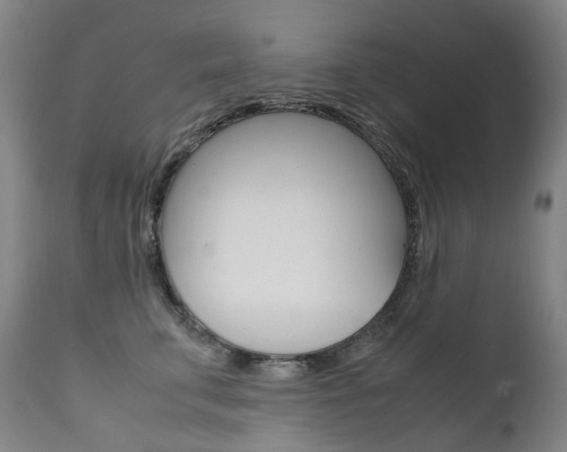 X0000111630711200907171129