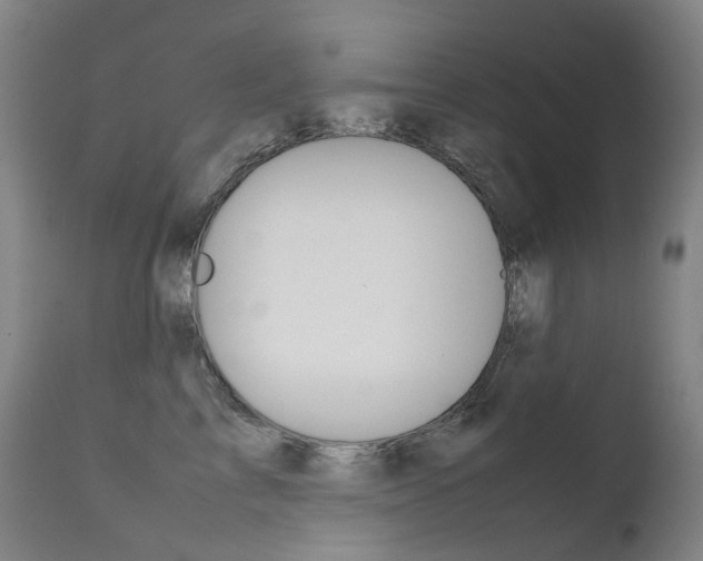 X0000111630713200907171129