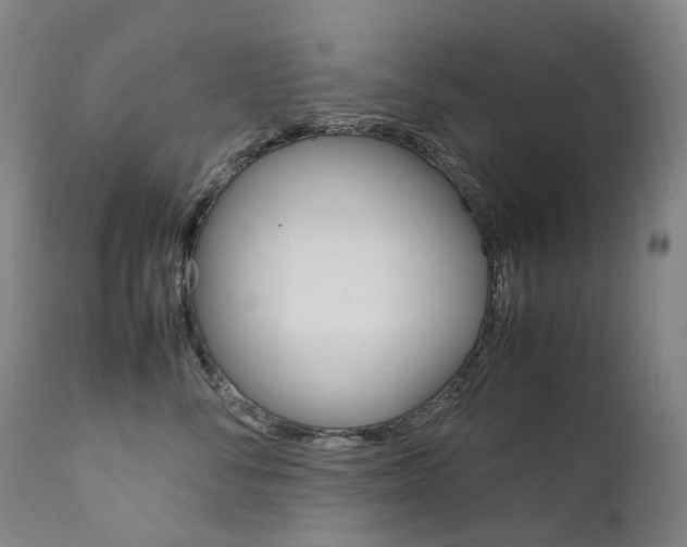 X0000111630716200907171129