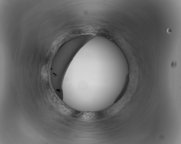 X0000111630720200907171128