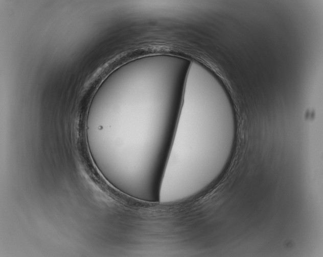 X0000111630722200907171128