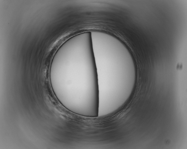 X0000111630723200907171128