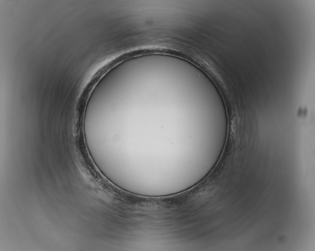 X0000111630724200907171128