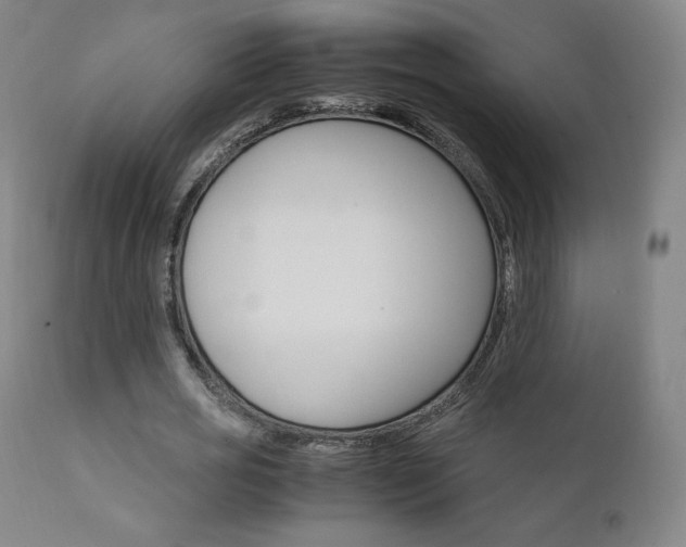 X0000111630725200907171128