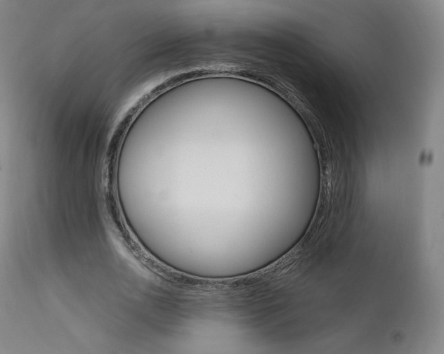 X0000111630726200907171128