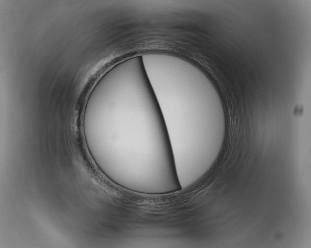 X0000111630727200907171128