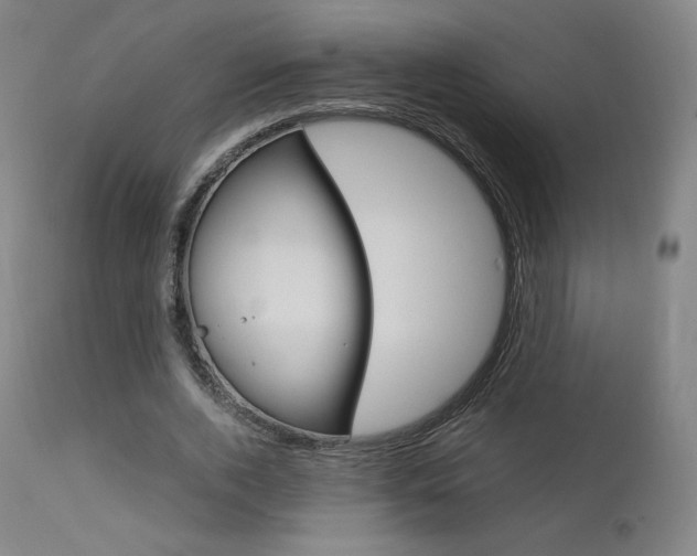 X0000111630728200907171128