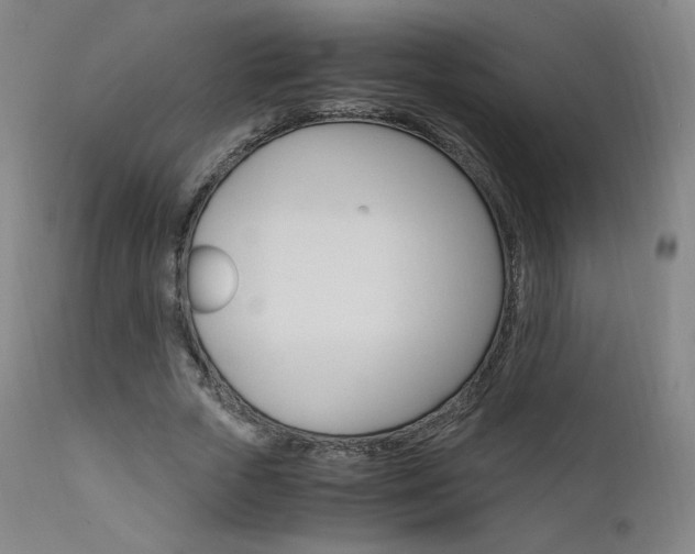 X0000111630729200907171128