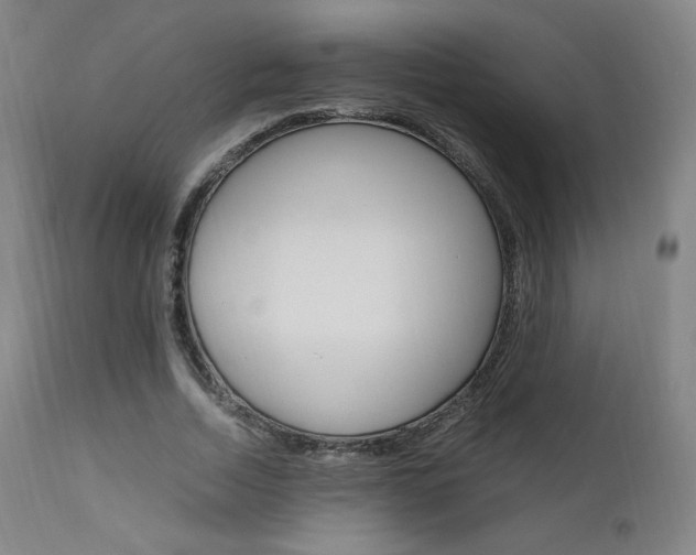 X0000111630730200907171128
