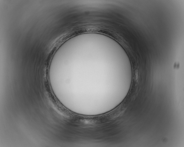X0000111630733200907171128
