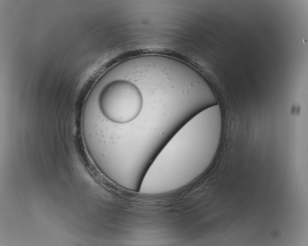 X0000111630734200907171128