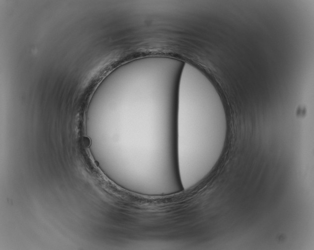 X0000111630735200907171128