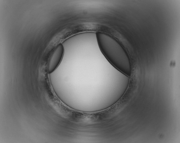 X0000111630736200907171128