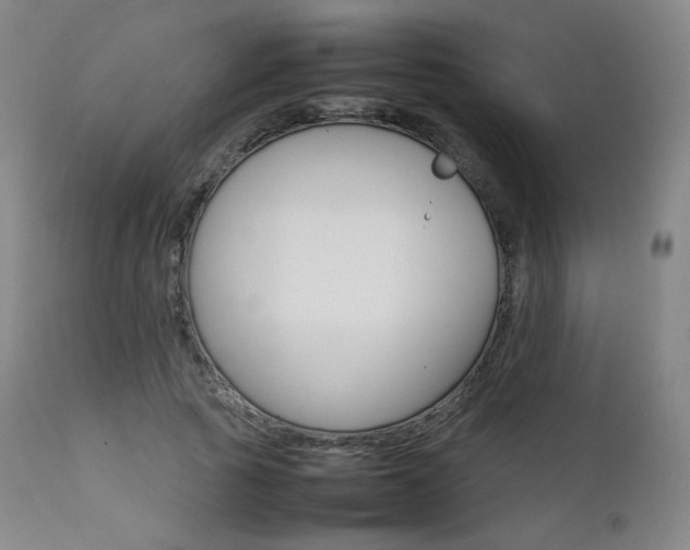X0000111630737200907171128
