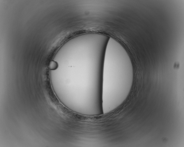 X0000111630738200907171128