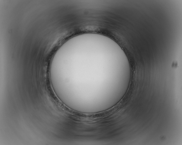 X0000111630739200907171128