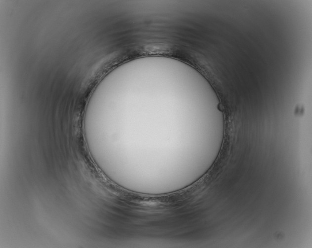 X0000111630741200907171128