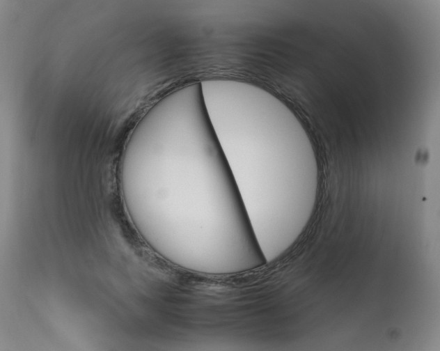 X0000111630743200907171128