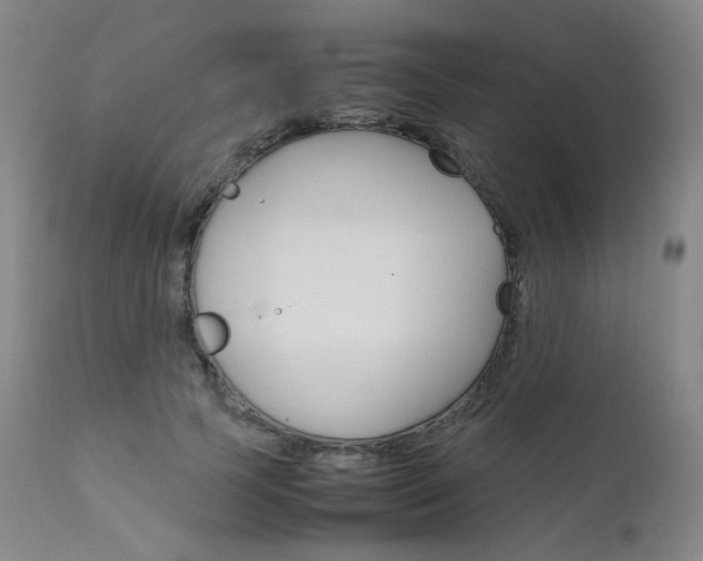 X0000111630745200907171128