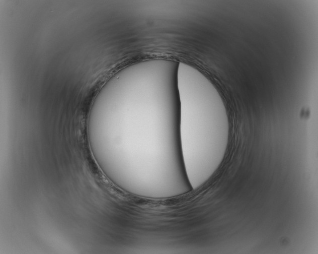 X0000111630747200907171128